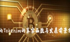 国内Tokenim的真实面貌与发展前景分析