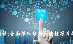Tokenim测评：全面深入分析区块链项目的指定工具