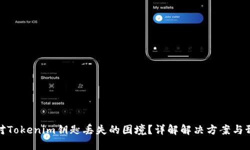 如何应对Tokenim钥匙丢失的困境？详解解决方案与预防措施