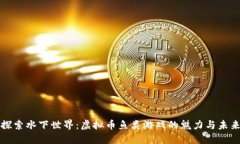 探索水下世界：虚拟币鱼类游戏的魅力与未来