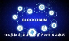TEC虚拟币：未来数字资产的潜力与挑战