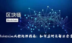 Tokenim风控处理指南: 如何应对及解决方案