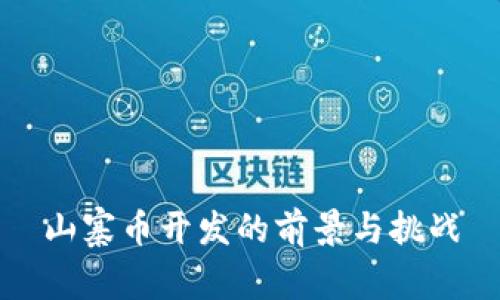 山寨币开发的前景与挑战