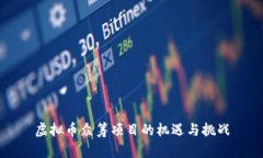 虚拟币众筹项目的机遇与挑战