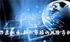 代人操作虚拟币：新兴市场的风险与机遇探讨