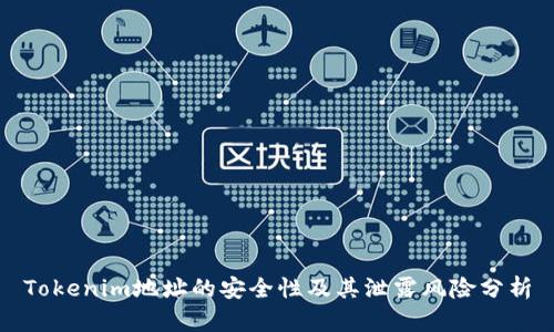 Tokenim地址的安全性及其泄露风险分析