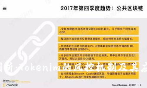  深入剖析：Tokenim的风控机制及其应对策略