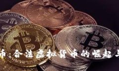 比特币：合法虚拟货币的崛起与挑战