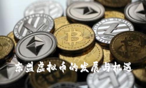 东盟虚拟币的发展与机遇