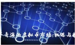 探寻青海的虚拟币市场：机遇与挑战