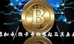 现代虚拟币：维卡币的崛起及其未来趋势