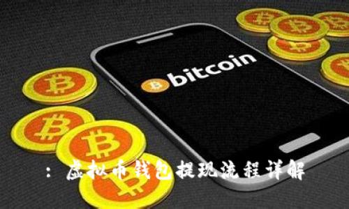 : 虚拟币钱包提现流程详解