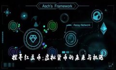 探寻红豆币：虚拟货币的未来与机遇