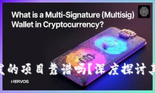 TokenIM开发的项目靠谱吗？深度探讨其潜力与风险