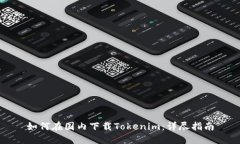 如何在国内下载Tokenim：详尽指南