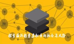 探索国外投资虚拟币的机会与风险