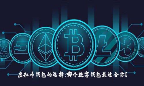 虚拟币钱包的选择：哪个数字钱包最适合你？