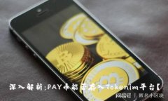 深入解析：PAY币能否存入Tokenim平台？