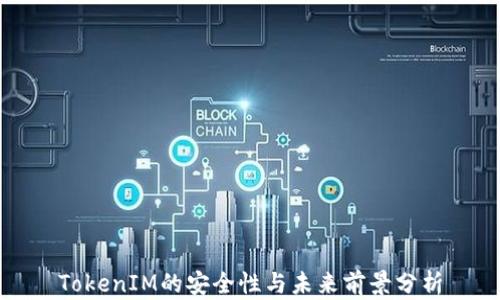
TokenIM的安全性与未来前景分析