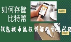 虚拟钱包提币流程详解及常见问题解析