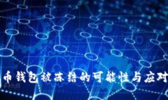 虚拟币钱包被冻结的可能性与应对策略