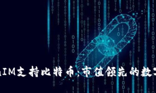 TokenIM支持比特币：市值领先的数字资产