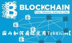 国内如何有效使用Tokenim？