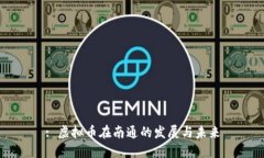 : 虚拟币在南通的发展与未来