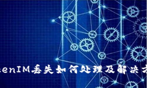 TokenIM丢失如何处理及解决方案