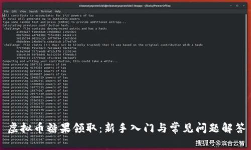 虚拟币糖果领取：新手入门与常见问题解答