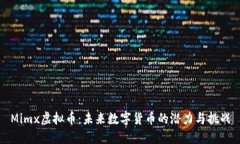 Mimx虚拟币：未来数字货币的潜力与挑战