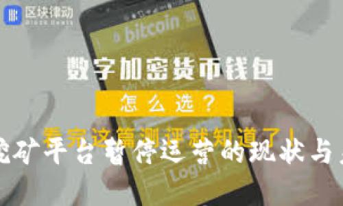 虚拟币挖矿平台暂停运营的现状与未来趋势