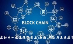 虚拟币一夜暴涨的背后：原因、风险与未来展望