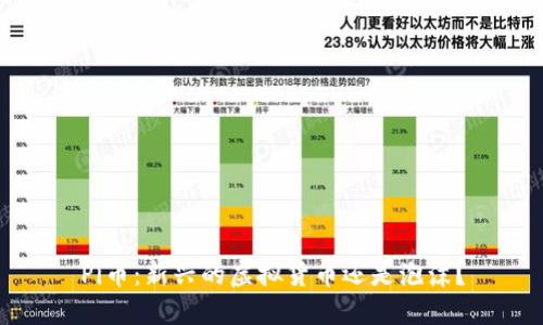 Pi币：新兴的虚拟货币还是泡沫？