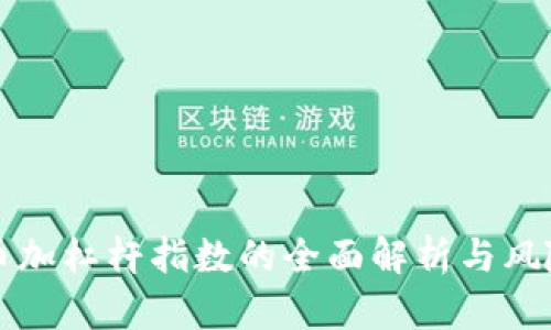 虚拟币加杠杆指数的全面解析与风险管理