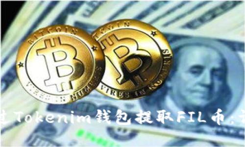如何通过Tokenim钱包提取FIL币：详细指南