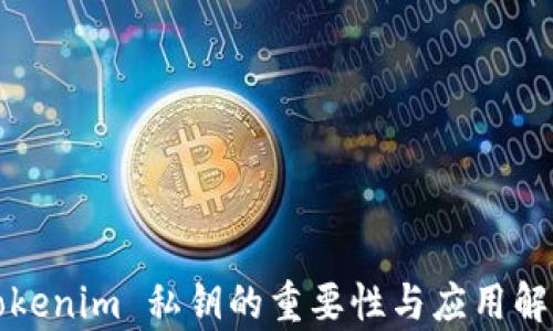 
Tokenim 私钥的重要性与应用解析