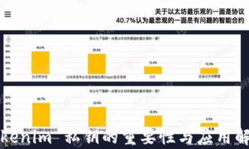 
Tokenim 私钥的重要性与应用解析