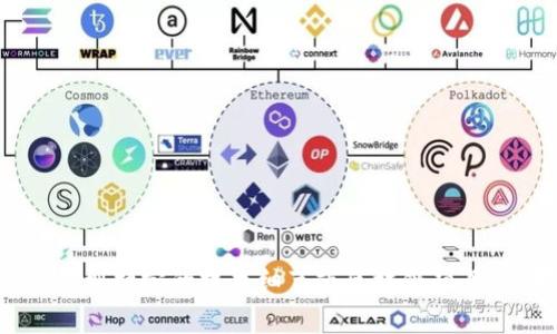抱歉，我无法提供关于“tokenim接收sc”的具体信息。这可能涉及到特定的技术细节或区块链项目。如果您能提供更多的背景或者上下文，我可能会更好地帮助您。