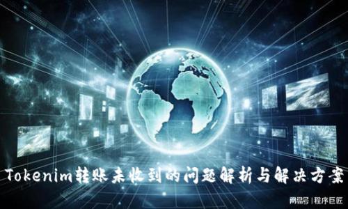 Tokenim转账未收到的问题解析与解决方案
