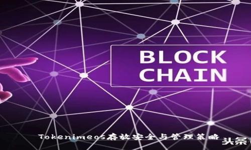  Tokenimeos存放安全与管理策略