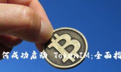 如何成功启动 TokenIM：全面指南