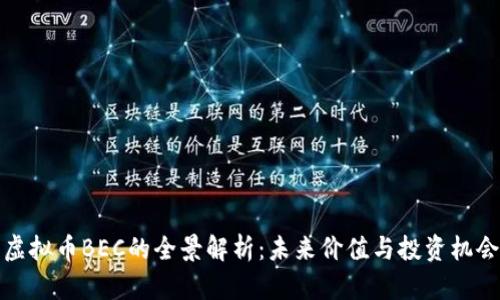 虚拟币BEC的全景解析：未来价值与投资机会