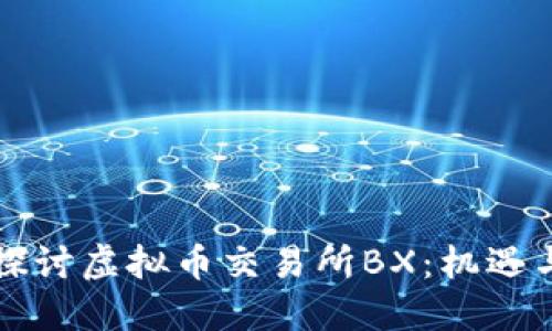 深入探讨虚拟币交易所BX：机遇与挑战