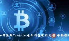 如何使用Tokenim电子钱包进行充值：全面指南