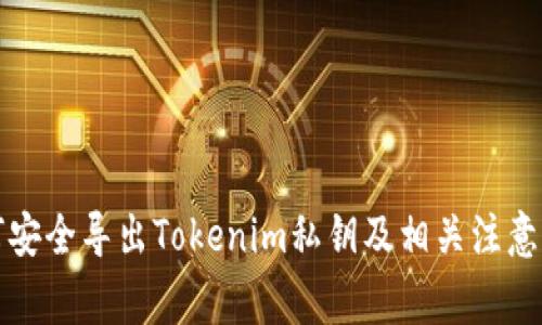 如何安全导出Tokenim私钥及相关注意事项