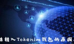   CTXC币无法转入Tokenim钱包的原因及解决方案