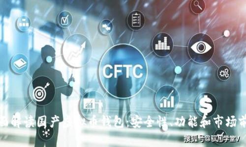 全面解读国产虚拟币钱包：安全性、功能和市场前景