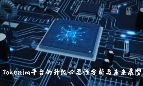 Tokenim平台的升级必要性分析与未来展望