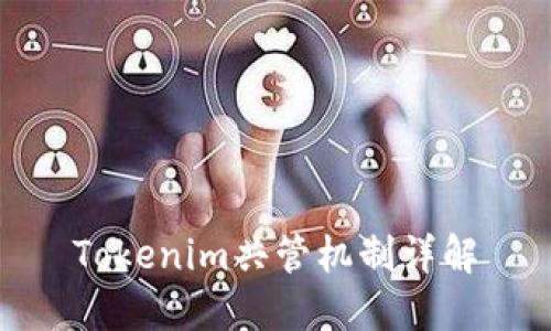 Tokenim共管机制详解
